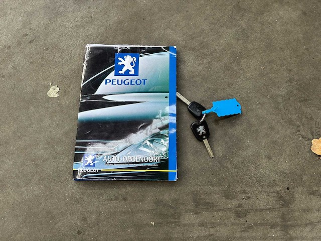 Peugeot 307 sw 1.6 16v 109pk 2003, 98-nl-hn - afbeelding 29 van  36