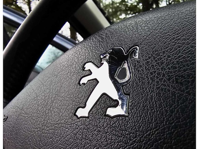 Peugeot 307 sw 1.6 16v navtech 2004 - afbeelding 3 van  20