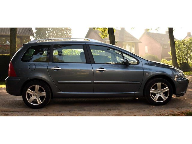Peugeot 307 sw 2.0 16v premium 2005 - afbeelding 16 van  17