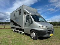 Peugeot boxer 350l 2.5td 3-paards paardentransporter - afbeelding 9 van  16
