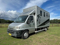 Peugeot boxer 350l 2.5td 3-paards paardentransporter