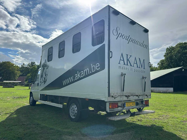 Peugeot boxer 350l 2.5td 3-paards paardentransporter - afbeelding 12 van  16