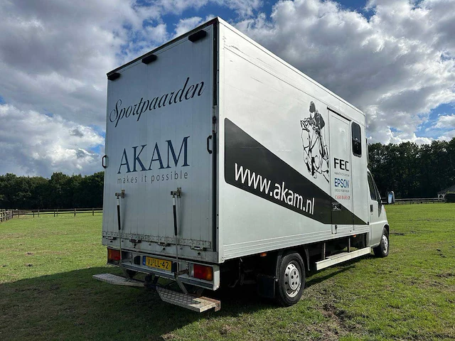 Peugeot boxer 350l 2.5td 3-paards paardentransporter - afbeelding 13 van  16