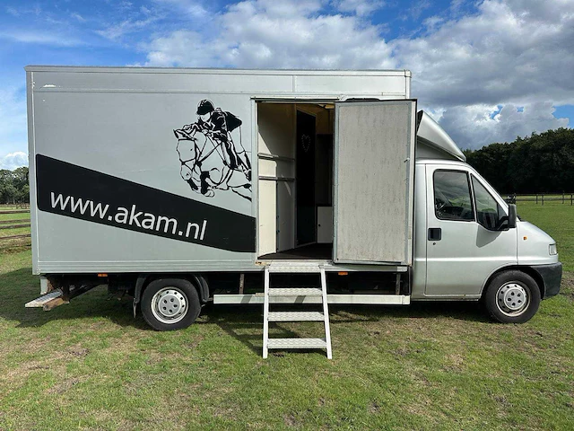 Peugeot boxer 350l 2.5td 3-paards paardentransporter - afbeelding 14 van  16