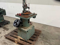 Peulen / stefani vandiktebank - afbeelding 2 van  8