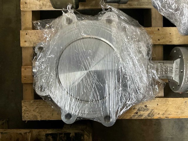 Pfeiffer vlinderklep 1.4408 (2x) - afbeelding 3 van  4