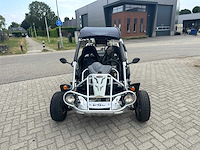 Pgo buggy quad - afbeelding 3 van  6