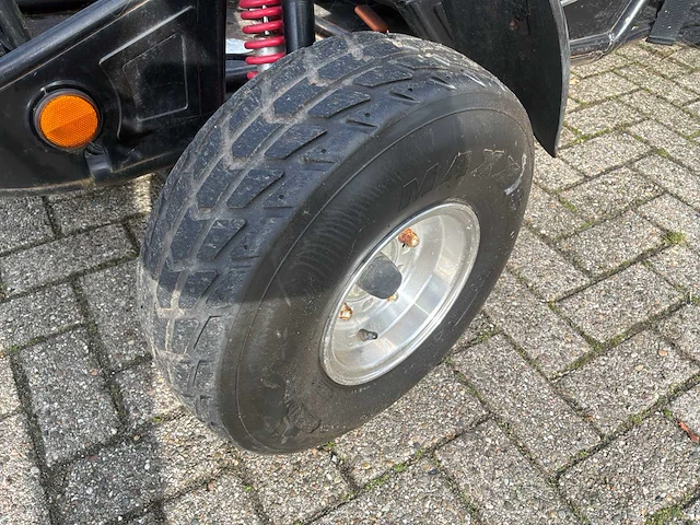 Pgo bugrider br-250 r tweepersoons buggy - afbeelding 1 van  14