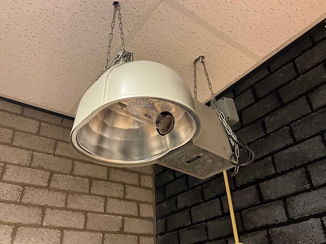 Philips - sgr102-400 - kweeklamp (2x) - afbeelding 6 van  6