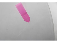 Philips 2000 series cx2550/00 statiefventilator 2-in-1 wit - afbeelding 6 van  6