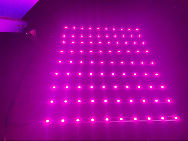 Philips 2017 led verlichting (100x) - afbeelding 1 van  14
