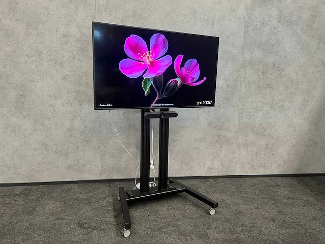 Philips/ logitech - 65" videoconferentieset - afbeelding 1 van  18