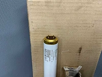 Phillips tl lampen (50x) - afbeelding 10 van  10
