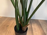 Philodendron kunstplant (135cm hoog) - afbeelding 10 van  11