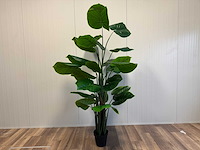 Philodendron kunstplant (210cm hoog) - afbeelding 1 van  12