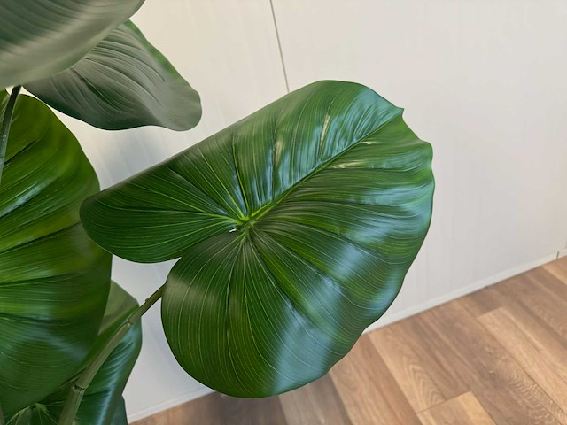 Philodendron kunstplant (210cm hoog) - afbeelding 10 van  12