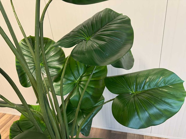 Philodendron kunstplant (210cm hoog) - afbeelding 2 van  12