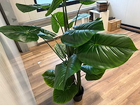 Philodendron kunstplant (210cm hoog) - afbeelding 8 van  12