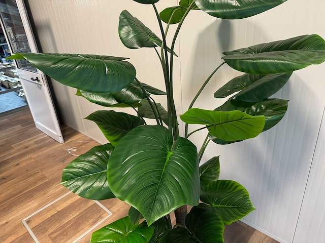 Philodendron kunstplant (210cm hoog) - afbeelding 9 van  12