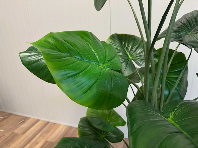 Philodendron kunstplant (210cm hoog) - afbeelding 12 van  12