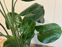 Philodendron kunstplant (210cm hoog) - afbeelding 6 van  12