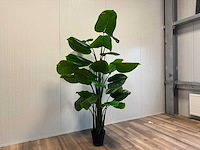 Philodendron kunstplant (210cm hoog) - afbeelding 9 van  12