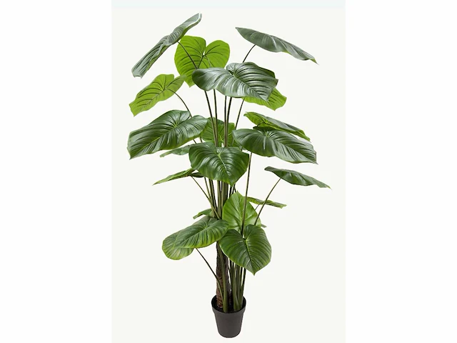 Philodendron kunstplant (210cm hoog) - afbeelding 5 van  12