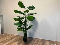 Philodendron kunstplant (210cm hoog) - afbeelding 7 van  12
