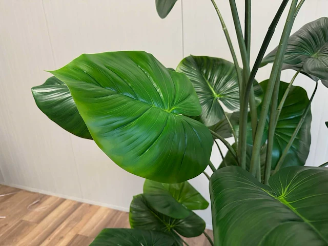 Philodendron kunstplant (210cm hoog) - afbeelding 12 van  12
