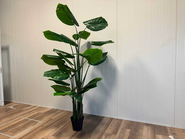 Philodendron kunstplant (210cm hoog) - afbeelding 7 van  12