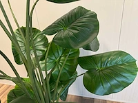 Philodendron kunstplant (210cm hoog) - afbeelding 2 van  12