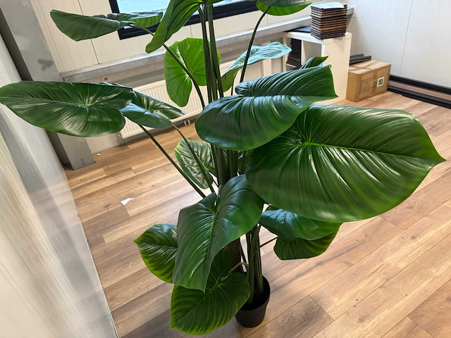 Philodendron kunstplant (210cm hoog) - afbeelding 8 van  12