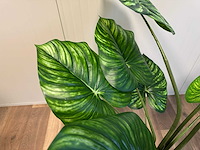 Philodendron white green kunstplant (135cm hoog) - afbeelding 10 van  11