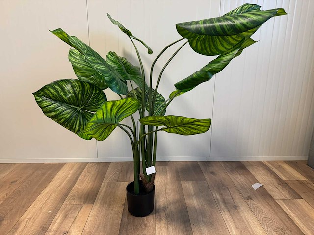 Philodendron white green kunstplant (135cm hoog) - afbeelding 1 van  11