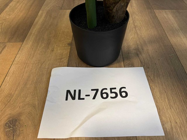 Philodendron white green kunstplant (135cm hoog) - afbeelding 3 van  11