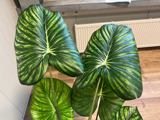 Philodendron white green kunstplant (135cm hoog) - afbeelding 8 van  11