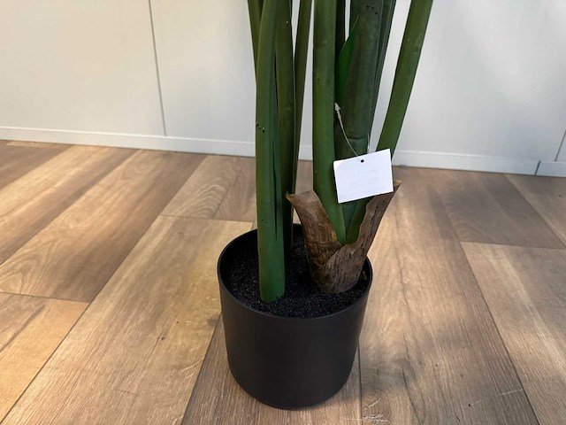 Philodendron white green kunstplant (135cm hoog) - afbeelding 7 van  7