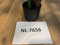 Philodendron white green kunstplant (135cm hoog) - afbeelding 11 van  11