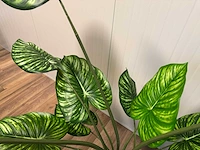 Philodendron white green kunstplant (165cm hoog) (2x) - afbeelding 2 van  12