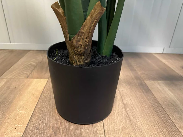 Philodendron white green kunstplant (165cm hoog) (2x) - afbeelding 3 van  12