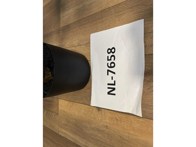 Philodendron white green kunstplant (165cm hoog) - afbeelding 4 van  12