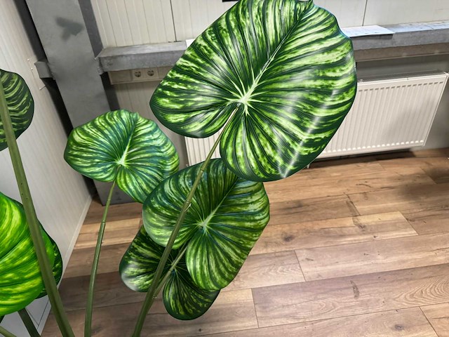 Philodendron white green kunstplant (165cm hoog) - afbeelding 9 van  12