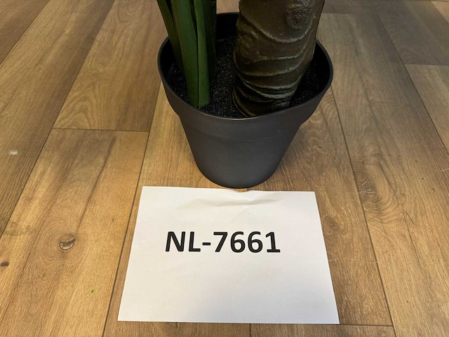 Philodendron white green kunstplant (210cm hoog) - afbeelding 5 van  13
