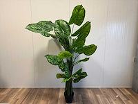 Philodendron white green kunstplant (210cm hoog) - afbeelding 12 van  13