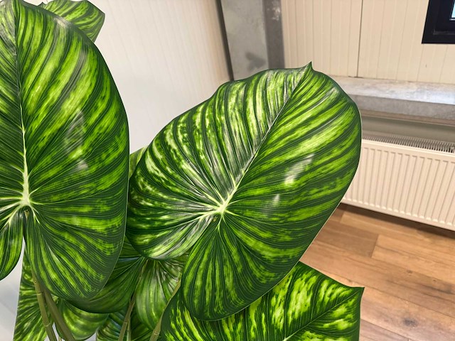 Philodendron white green kunstplant (210cm hoog) - afbeelding 7 van  13