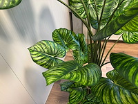 Philodendron white green kunstplant (210cm hoog) - afbeelding 2 van  13