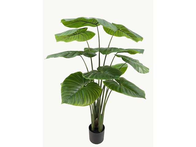 Philodendron white green kunstplant (210cm hoog) - afbeelding 6 van  13