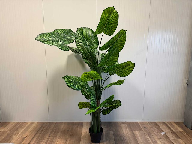 Philodendron white green kunstplant (210cm hoog) - afbeelding 1 van  6