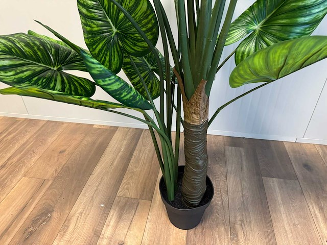Philodendron white green kunstplant (210cm hoog) - afbeelding 6 van  6