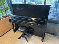 Piano, schweizerstein, hu-200 - afbeelding 12 van  19